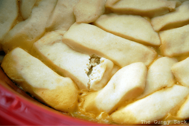 cooked dumplings in crockpot