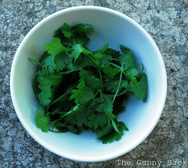 cilantro in a bowl