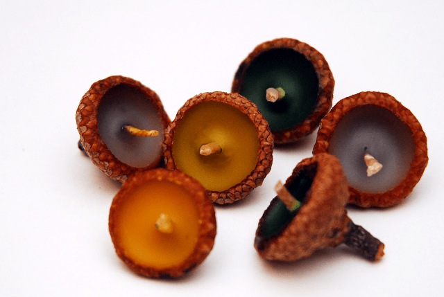 acorn candles