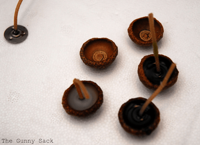 candle wax poured into acorn caps