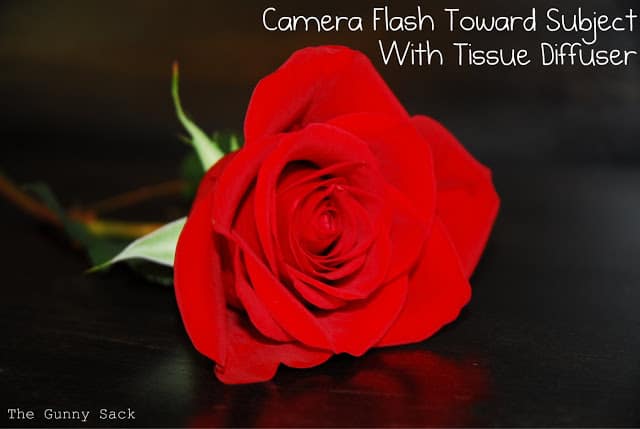 rose with flash and tissue diffuser