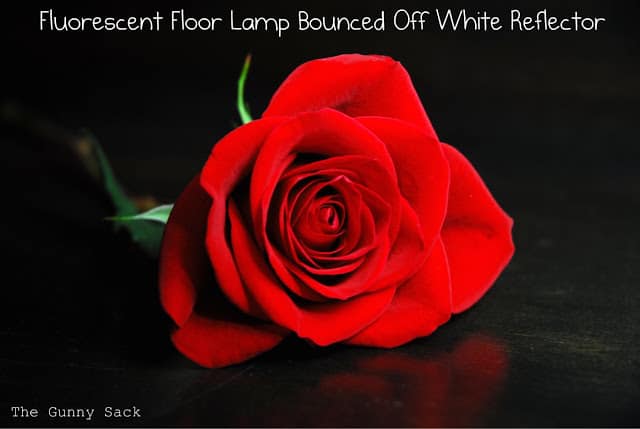 fluorescent floor lamp bounced off white reflector