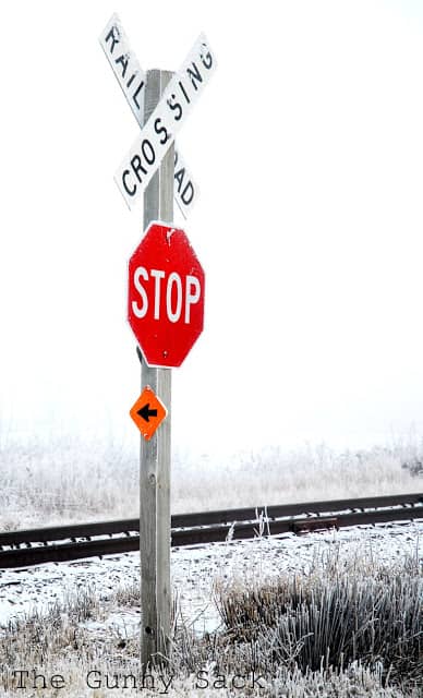 Stop Sign In Fog Color in Photography