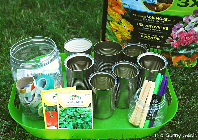 soup cans planter supplies