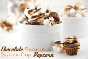 Chocolate Peanut Butter Cup Gourmet Popcorn