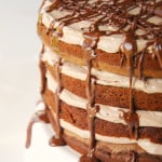 Drizzle Chocolate Layer Cake