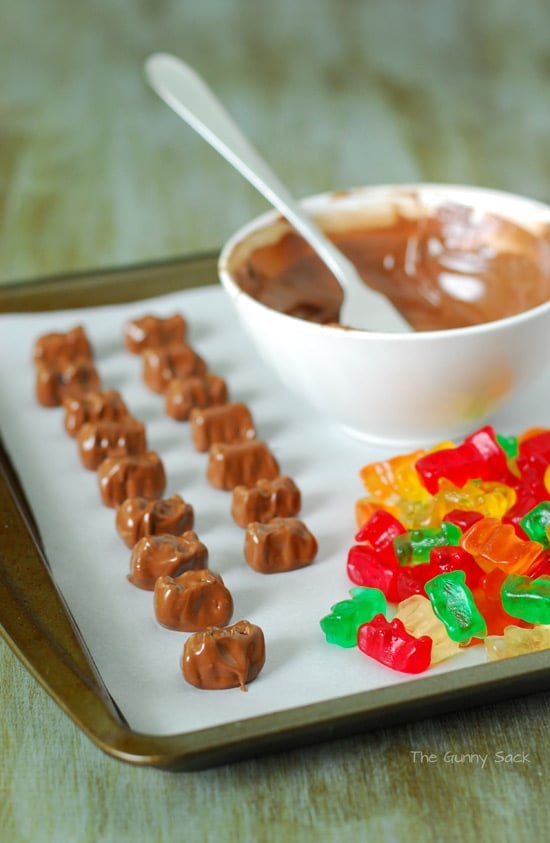 Chocolate Dipped Gummy Bear Ingredients