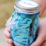 Blue Christmas Without You Gifts In A Jar