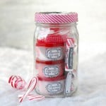 Peppermint Pampering Christmas Gift