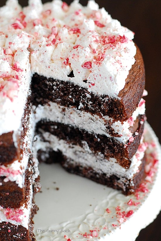 chocolate peppermint cake with frosting