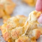 Bloomin' Garlic Cheese Biscuits