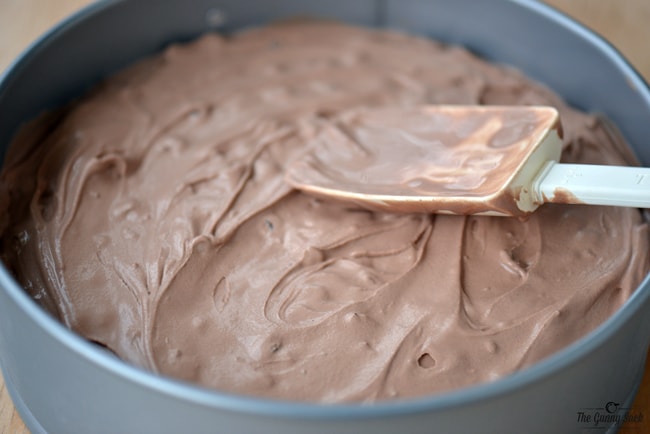 spread ice cream in springform pan