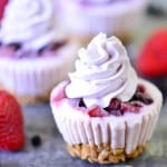Double Berry Frozen Yogurt Cupcakes | thegunnysack.com