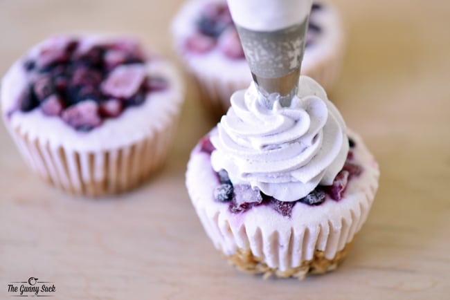 Whipped Cream Frosting for Frozen Yogurt Cupcakes