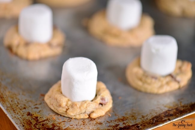 marshmallows on cookies