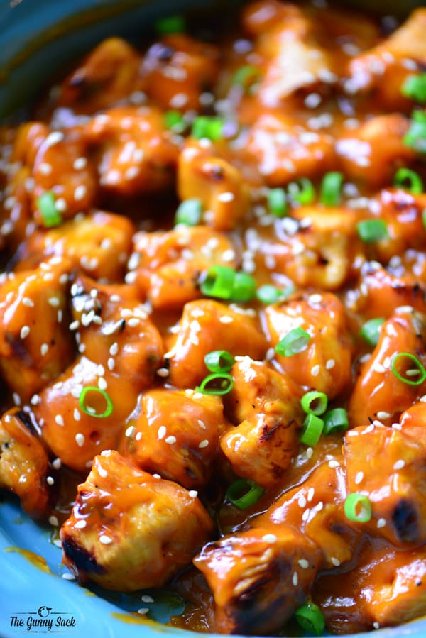 Grilled Orange Chicken with green onions