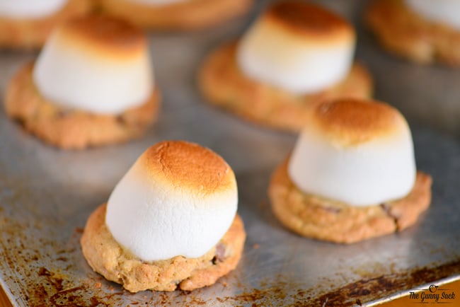 Toasted Marshmallow Cookies
