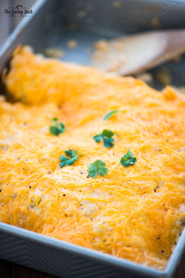 Chicken Enchilada covered with cheese