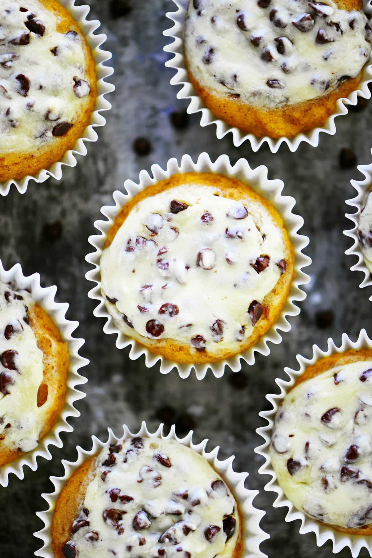 Pumpkin Cream Cheese Muffins with Chocolate Chips