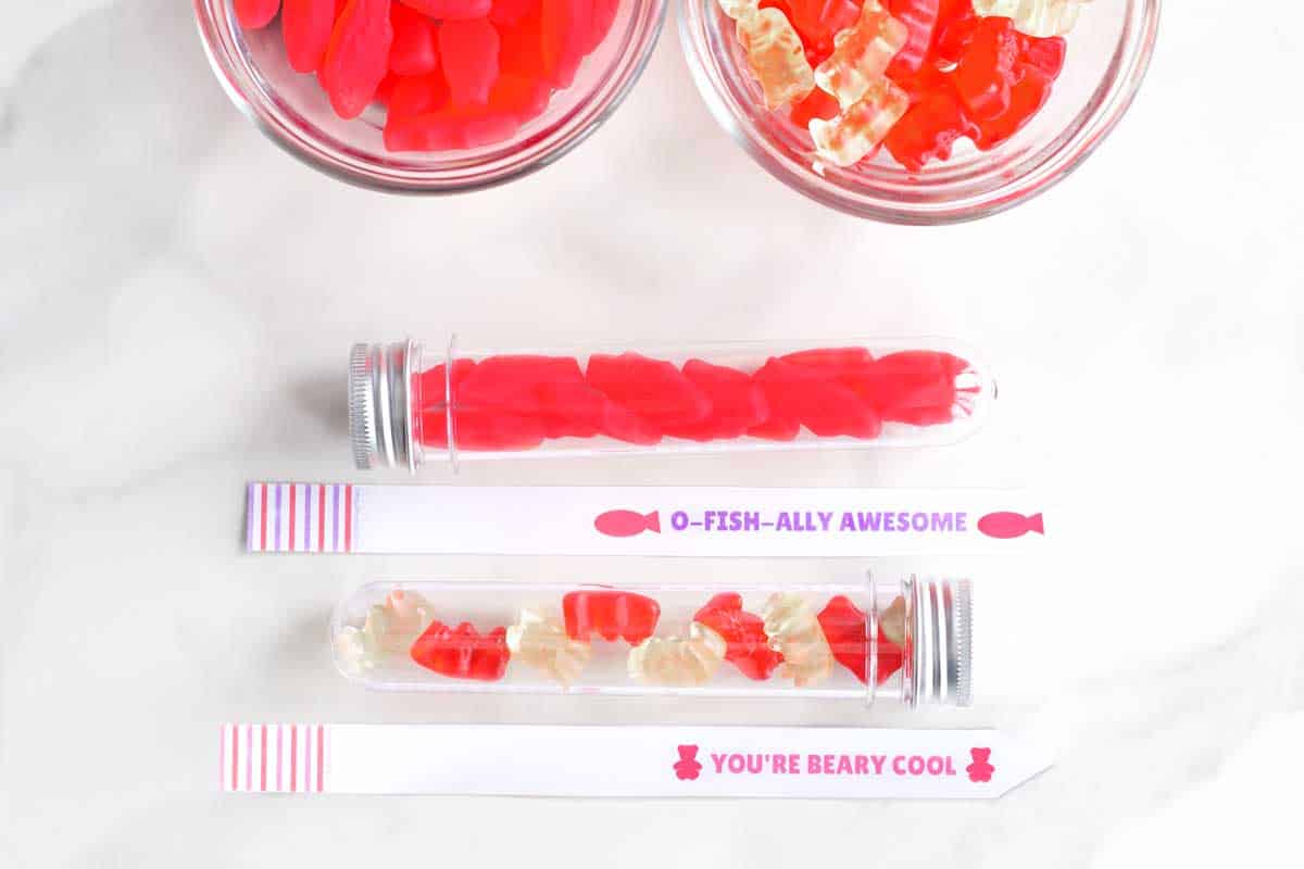 You're Beary Cool Gummy Bear Valentine's Day Ideas