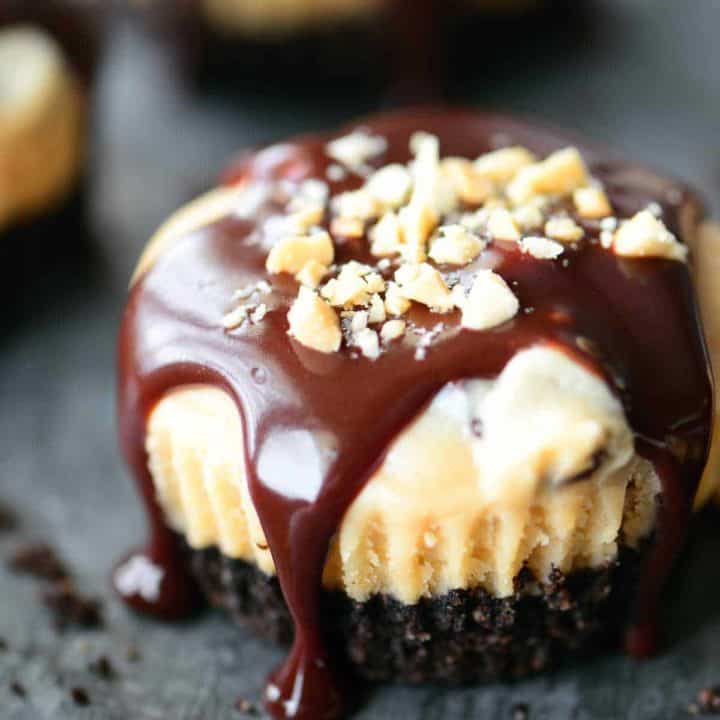 mini peanut butter cheesecakes drizzled with chocolate