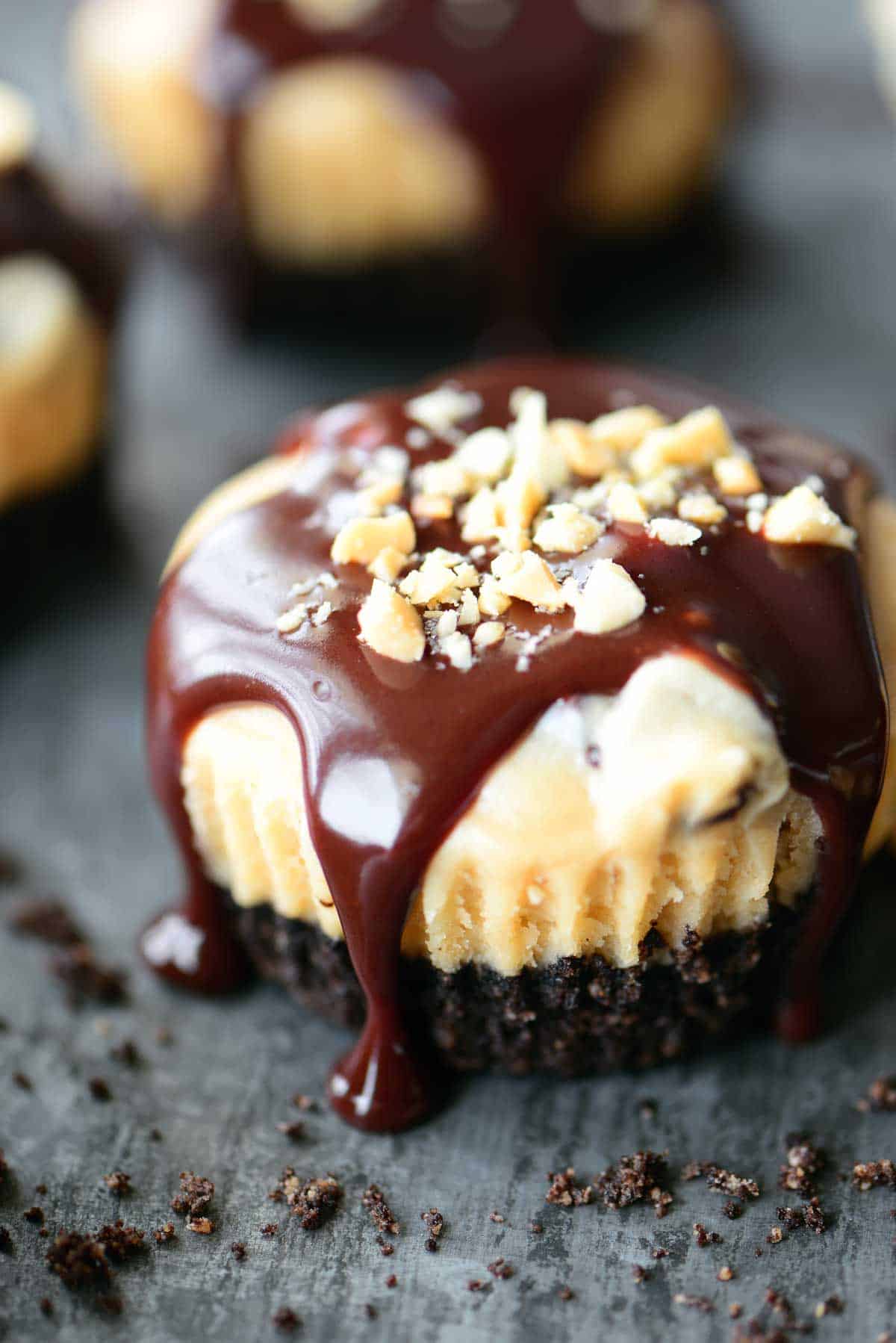 mini peanut butter cheesecakes drizzled with chocolate