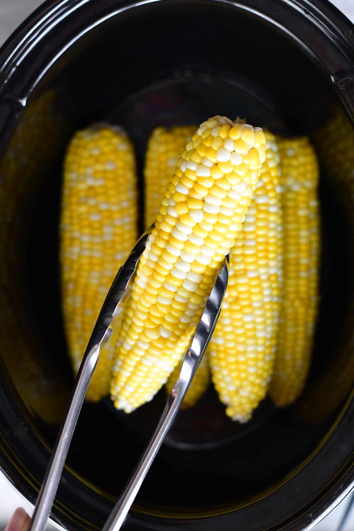 cooked corn on the cob slow cooker