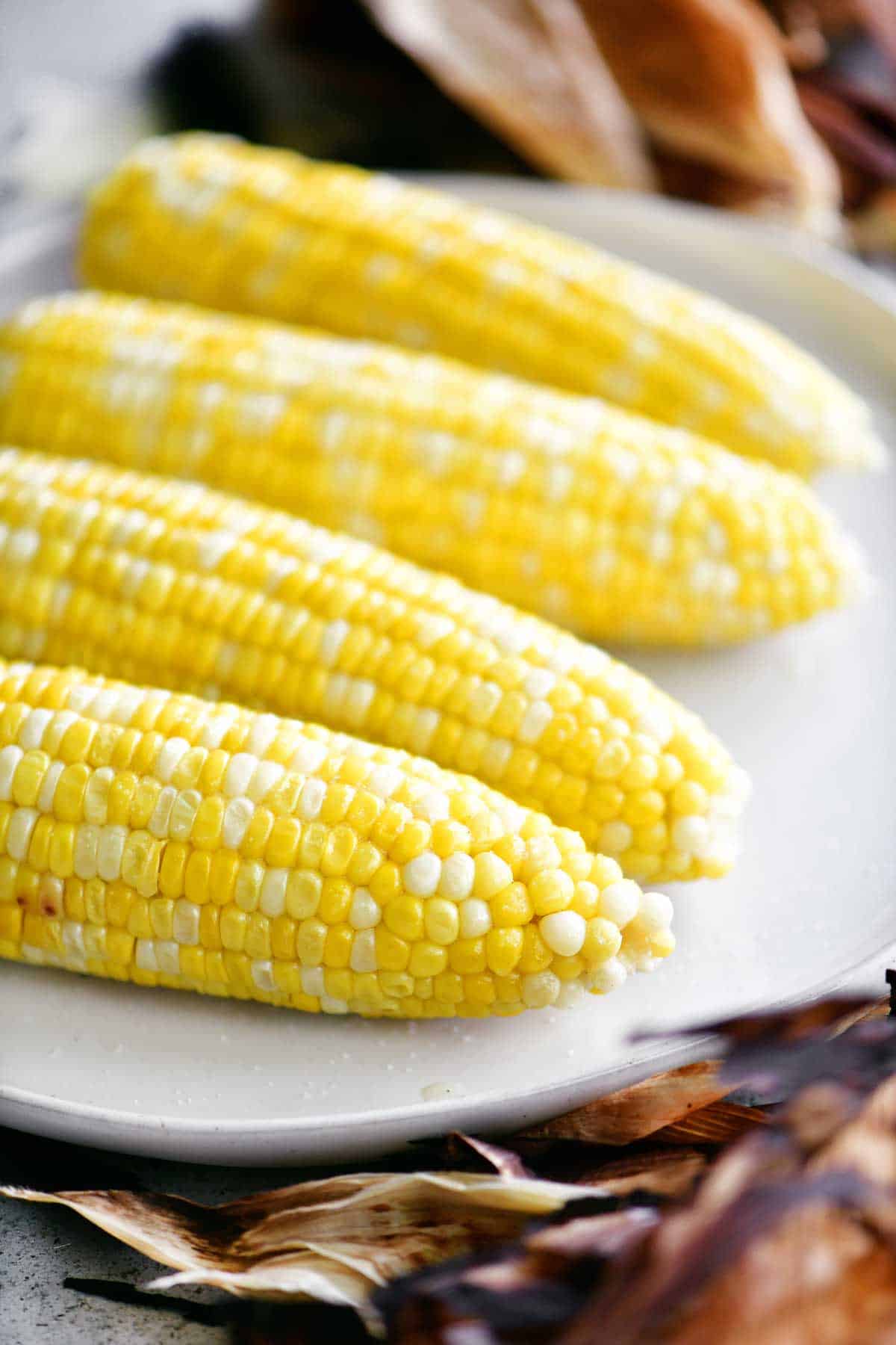 platter of grilled corn on the cob cooked with the husks