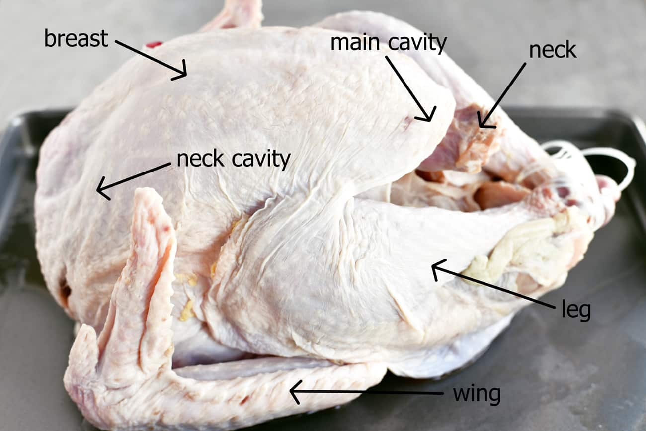 parts of a turkey labeled