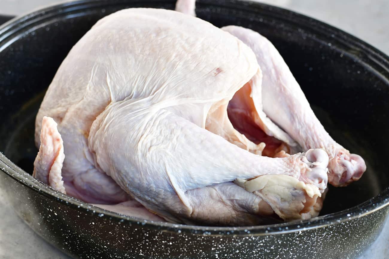 turkey in a roasting pan