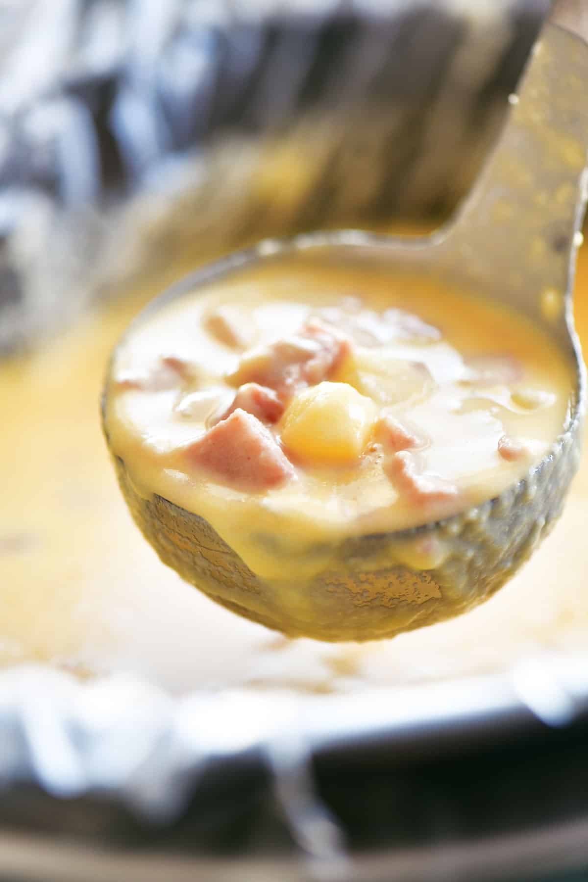 scoop of slow cooker ham and cheese soup