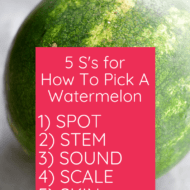How To Pick A Watermelon