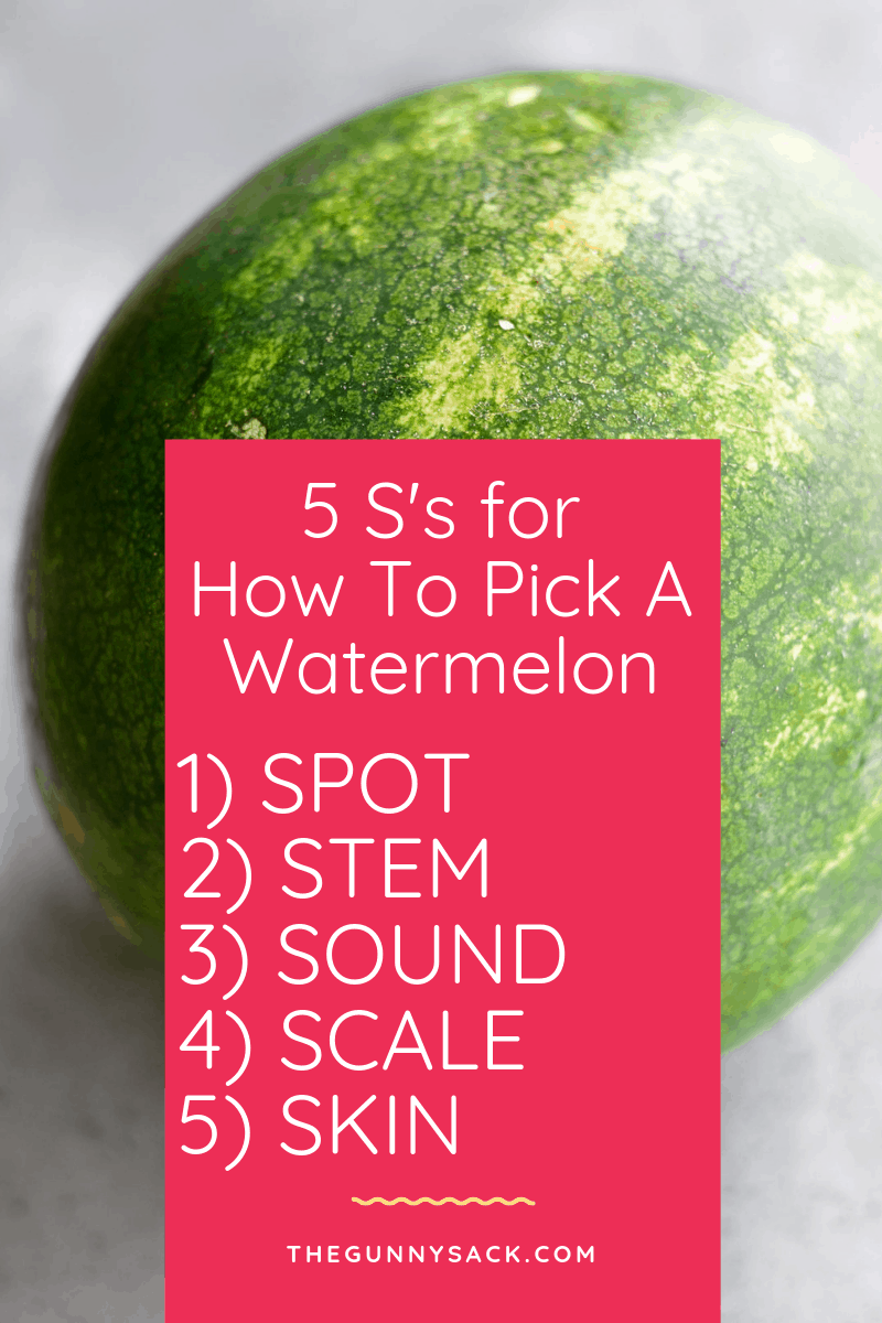 graphic showing the five S's for how to pick a watermelon