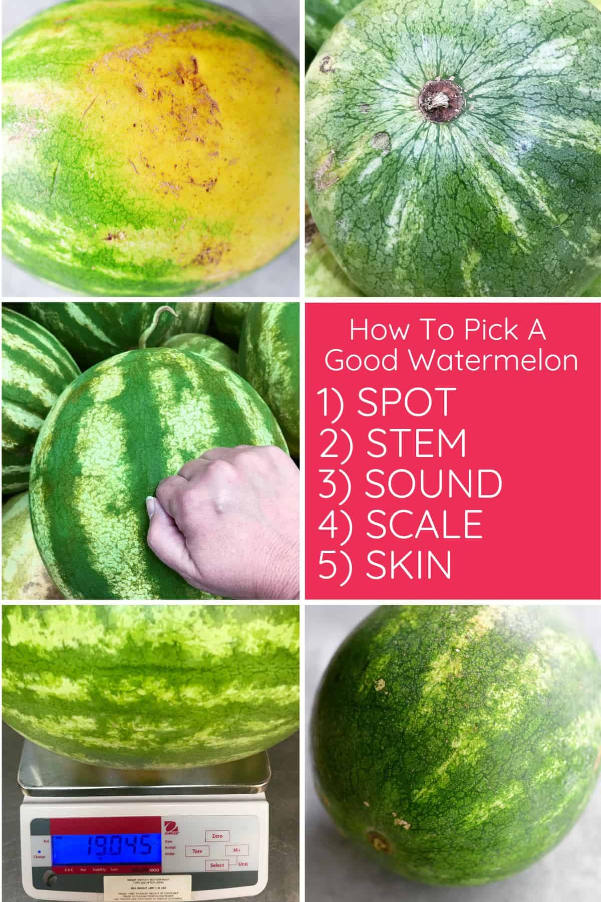 How to pick a good watermelon collage.