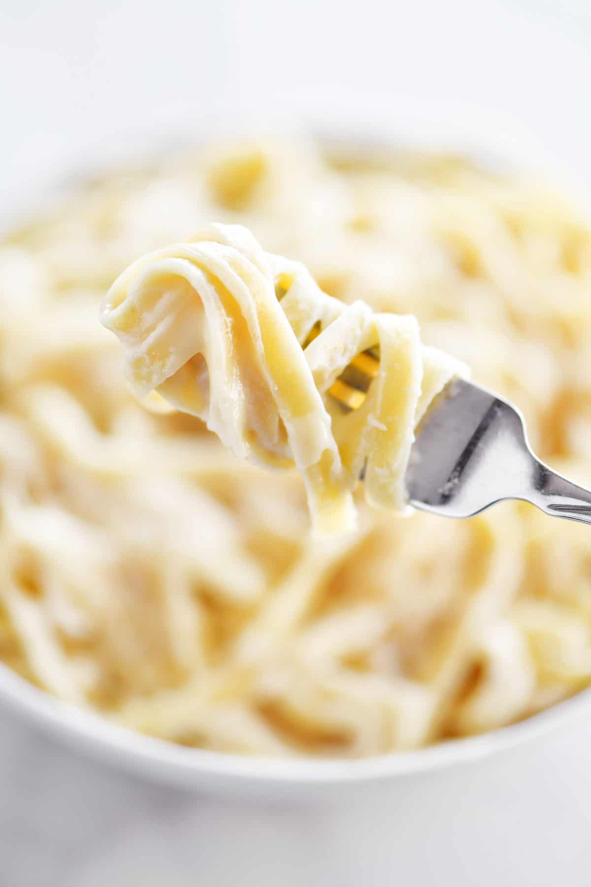 pasta twirled around a fork