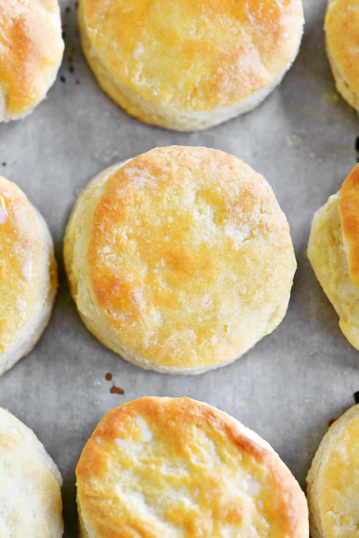 baked biscuits in a row