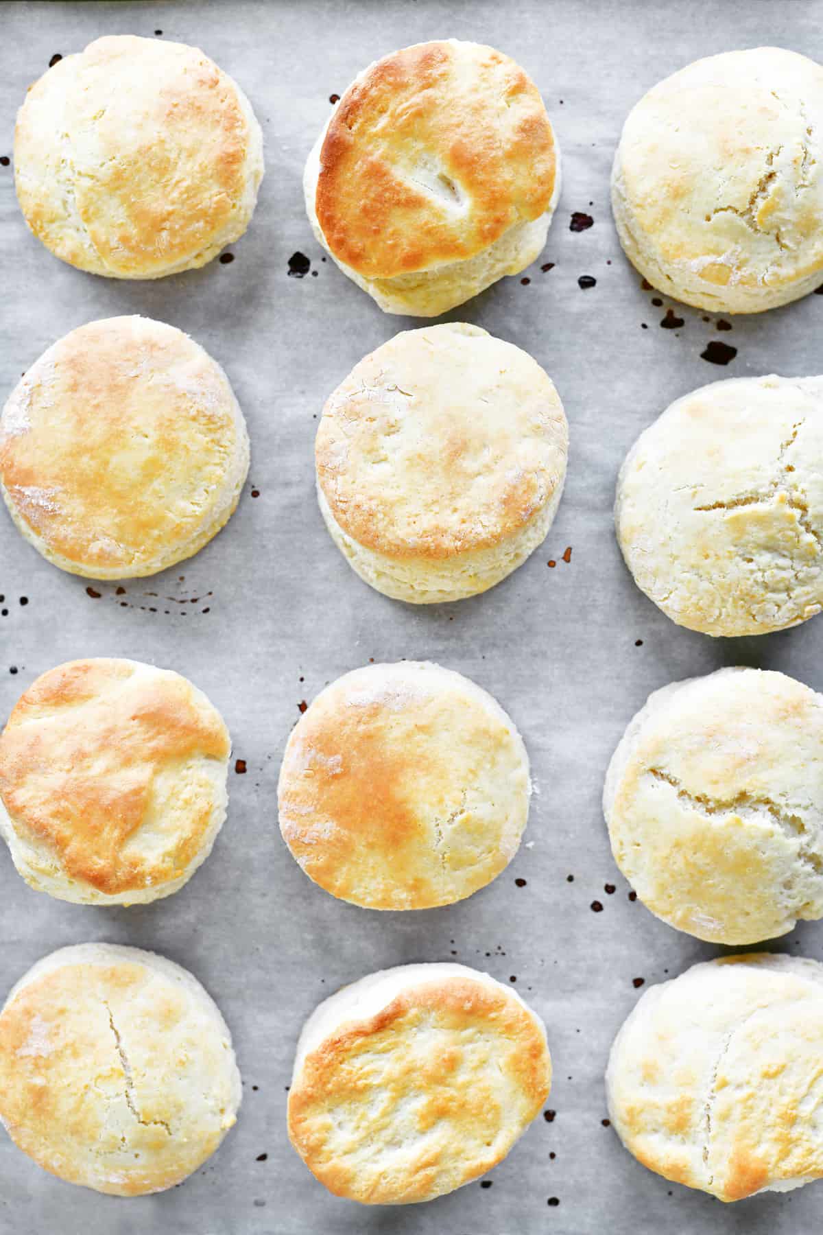 rows of baked biscuits on parchment covered pan