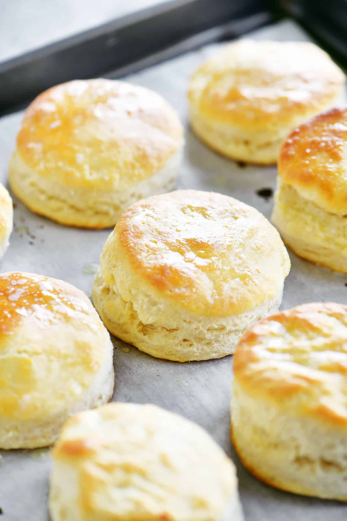 side view of baked biscuits