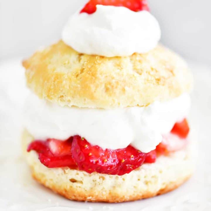 side view of strawberry shortcake