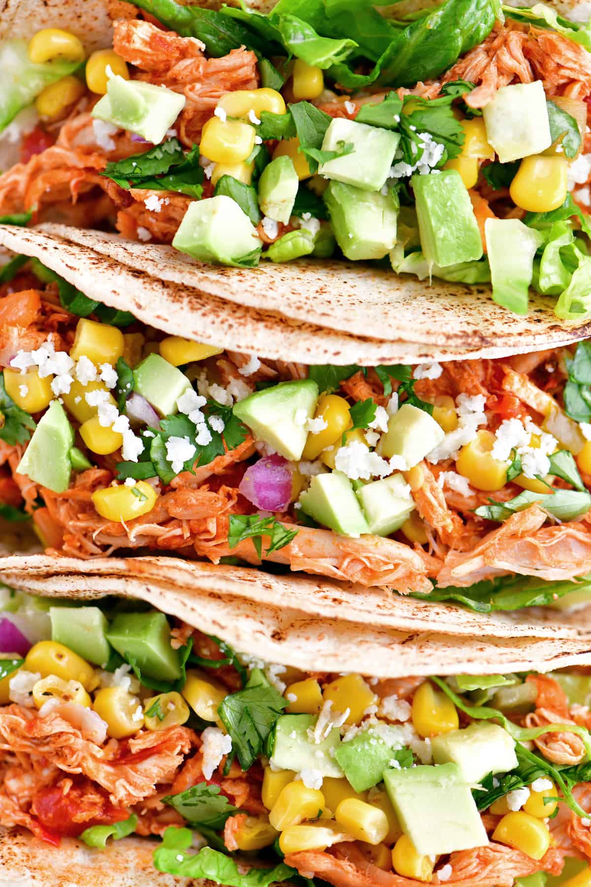 Tinga chicken and vegetables in corn tortillas.
