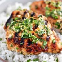 chicken breasts in a plate of rice