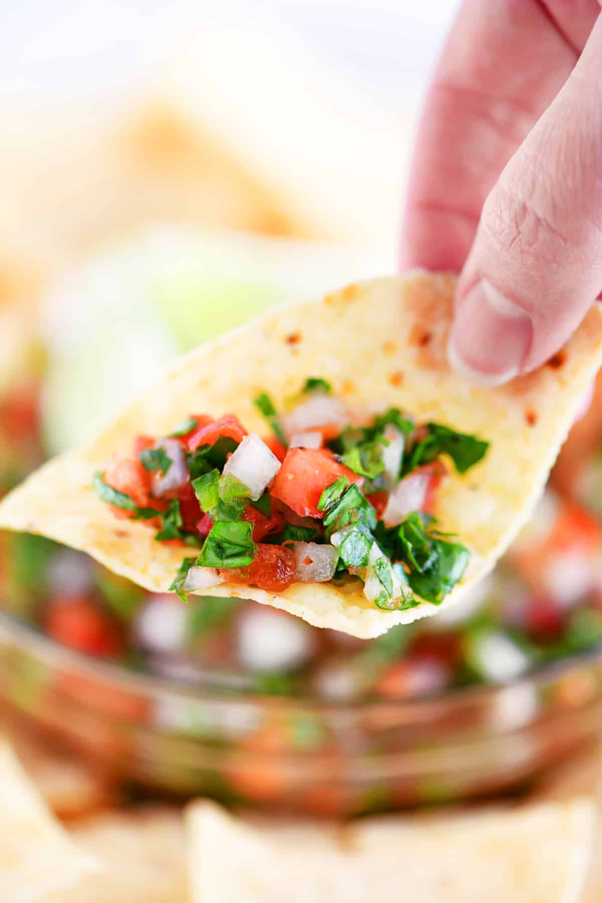 a hand holding a tortilla chip with some pico de gallo on it