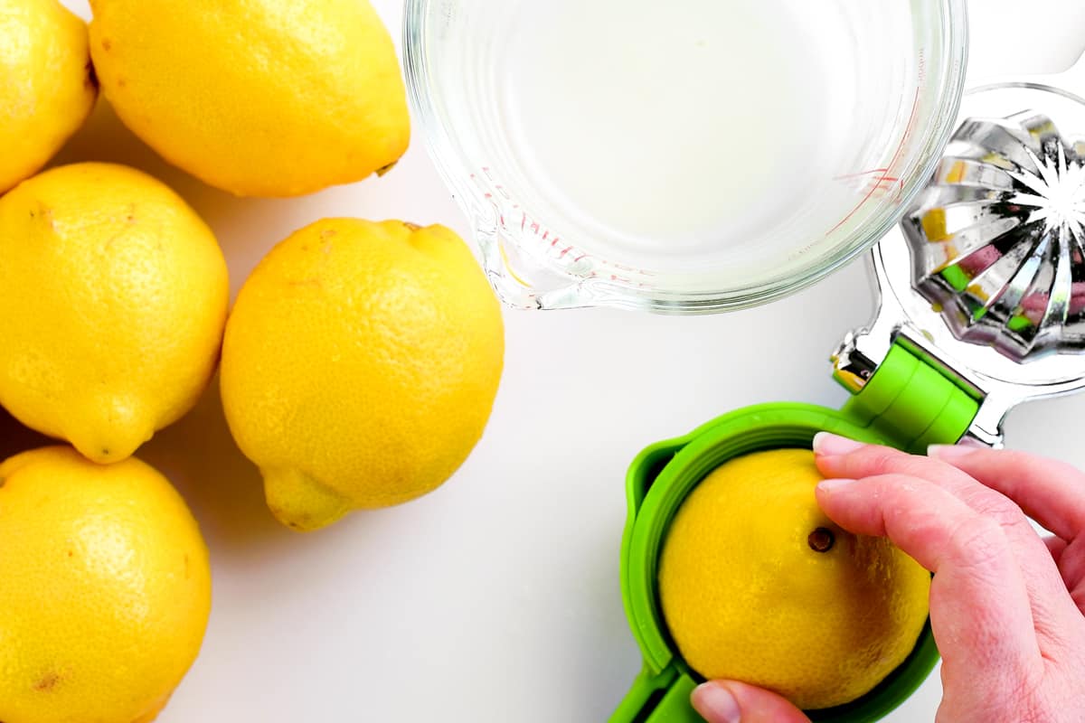 add lemon to citrus press