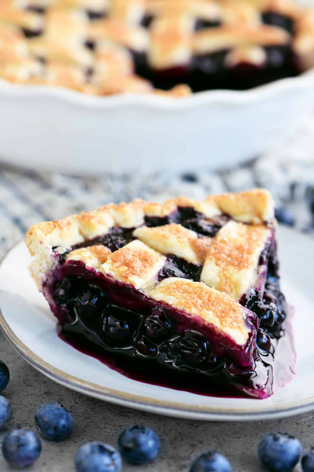 blueberry pie slice on a plate