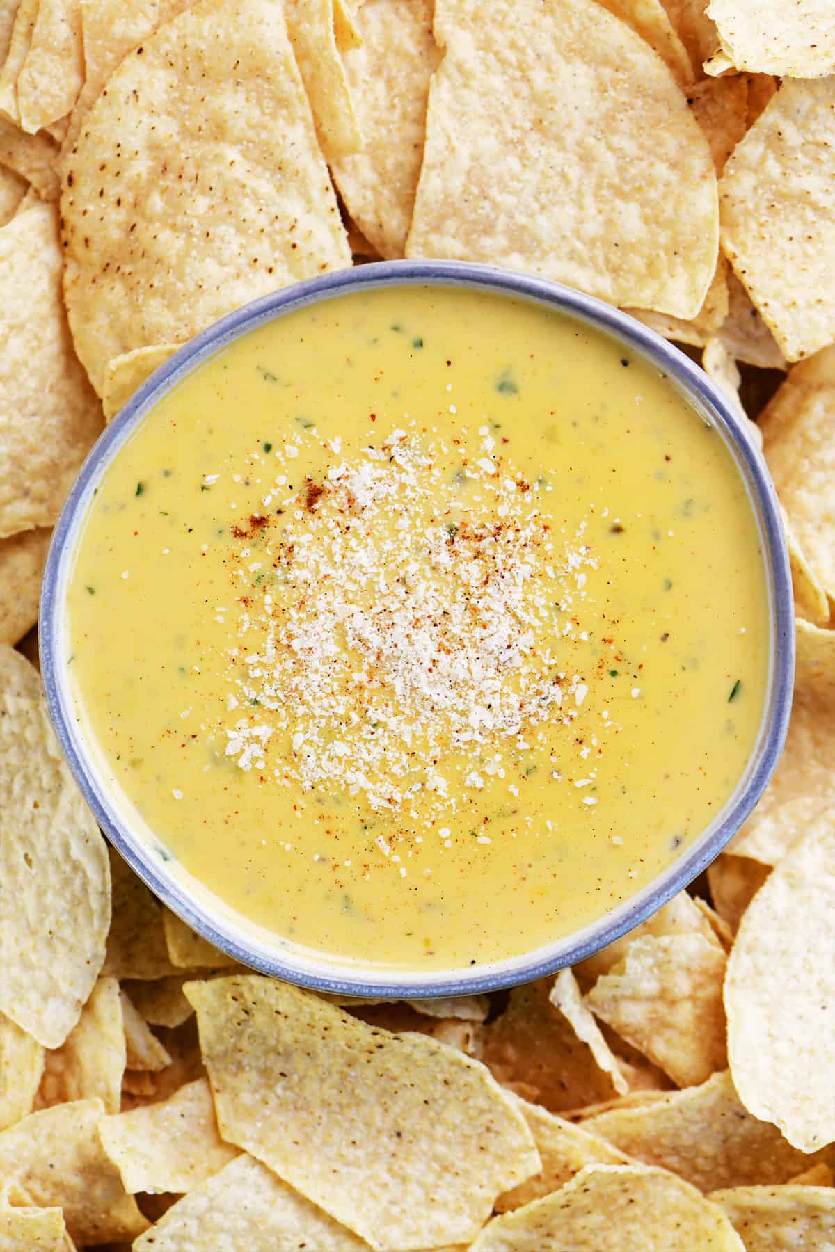 homemade queso in a bowl surround by chips