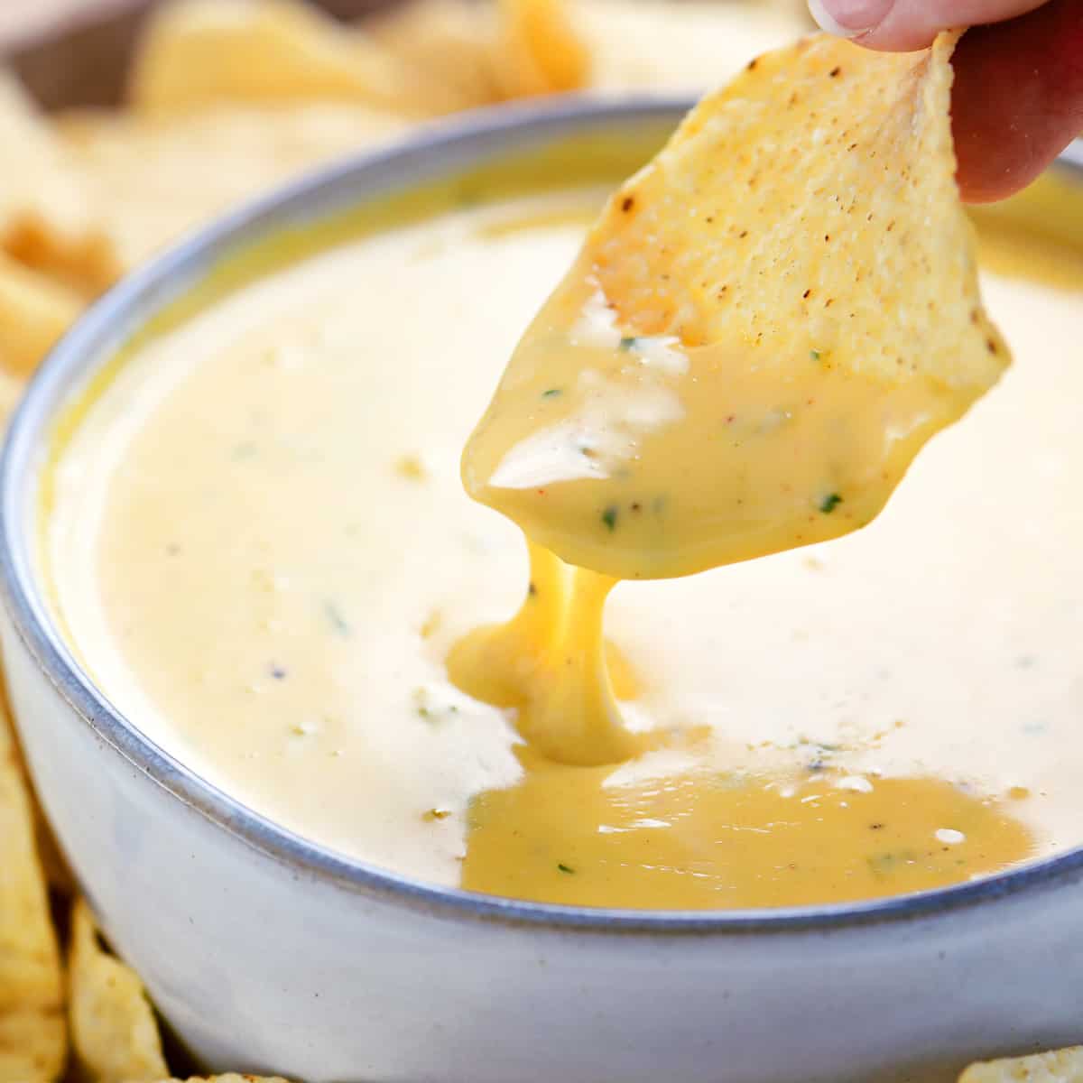 A chip dipped in homemade queso.