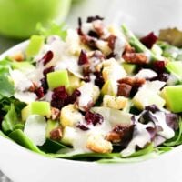 apple cranberry salad in a white bowl
