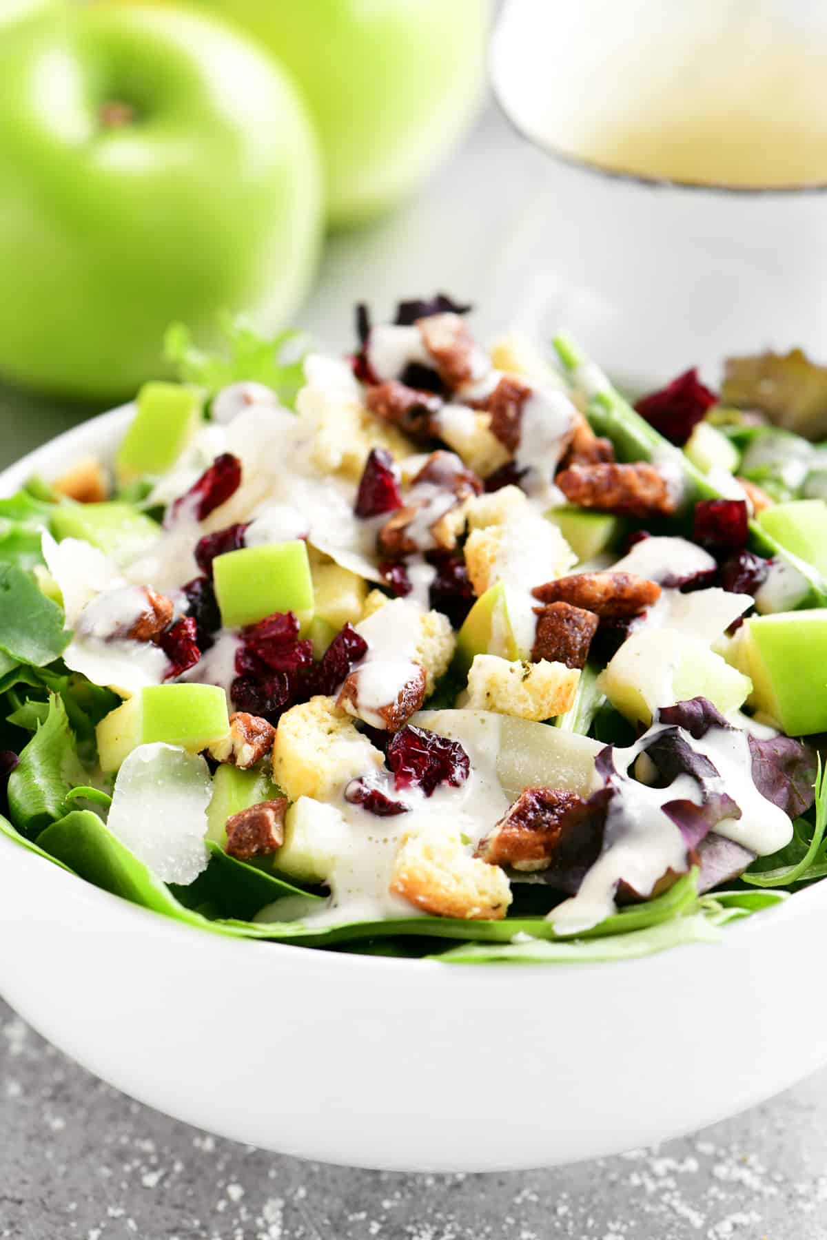 white bowl with a salad topped with apples and cranberries