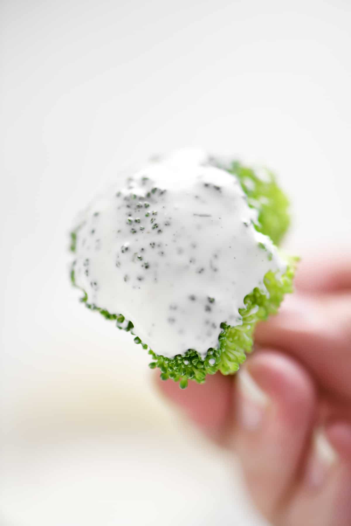 broccoli dipped in homemade ranch dressing