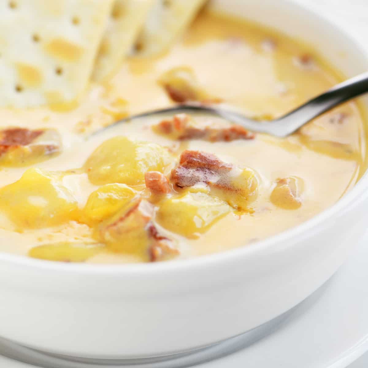 ham and potato soup in a white bowl with a spoon